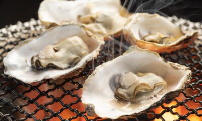 raw oysters