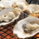 raw oysters