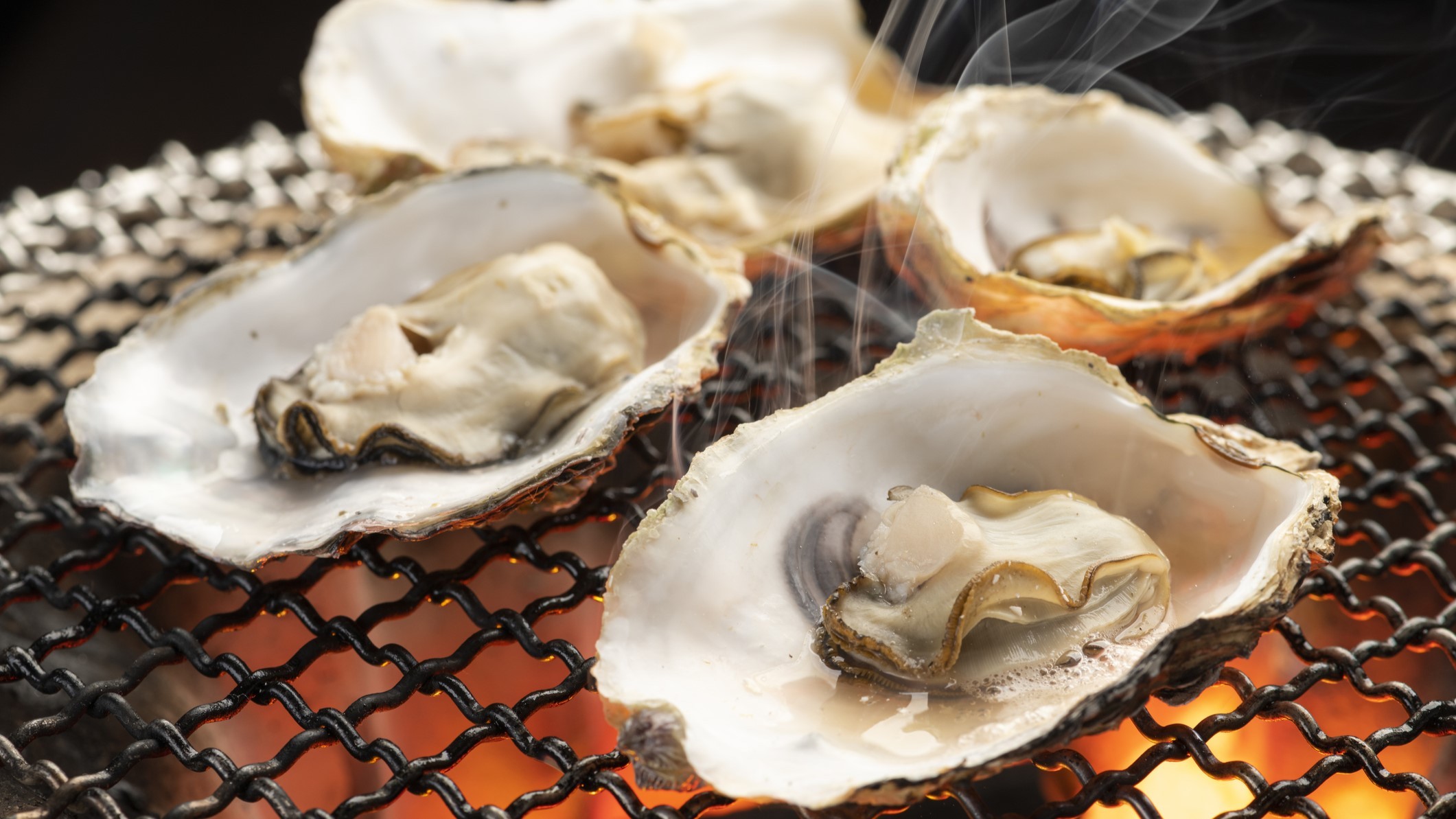 raw oysters