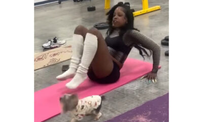 exercise video dog