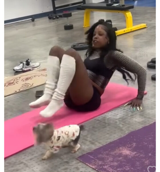exercise video dog
