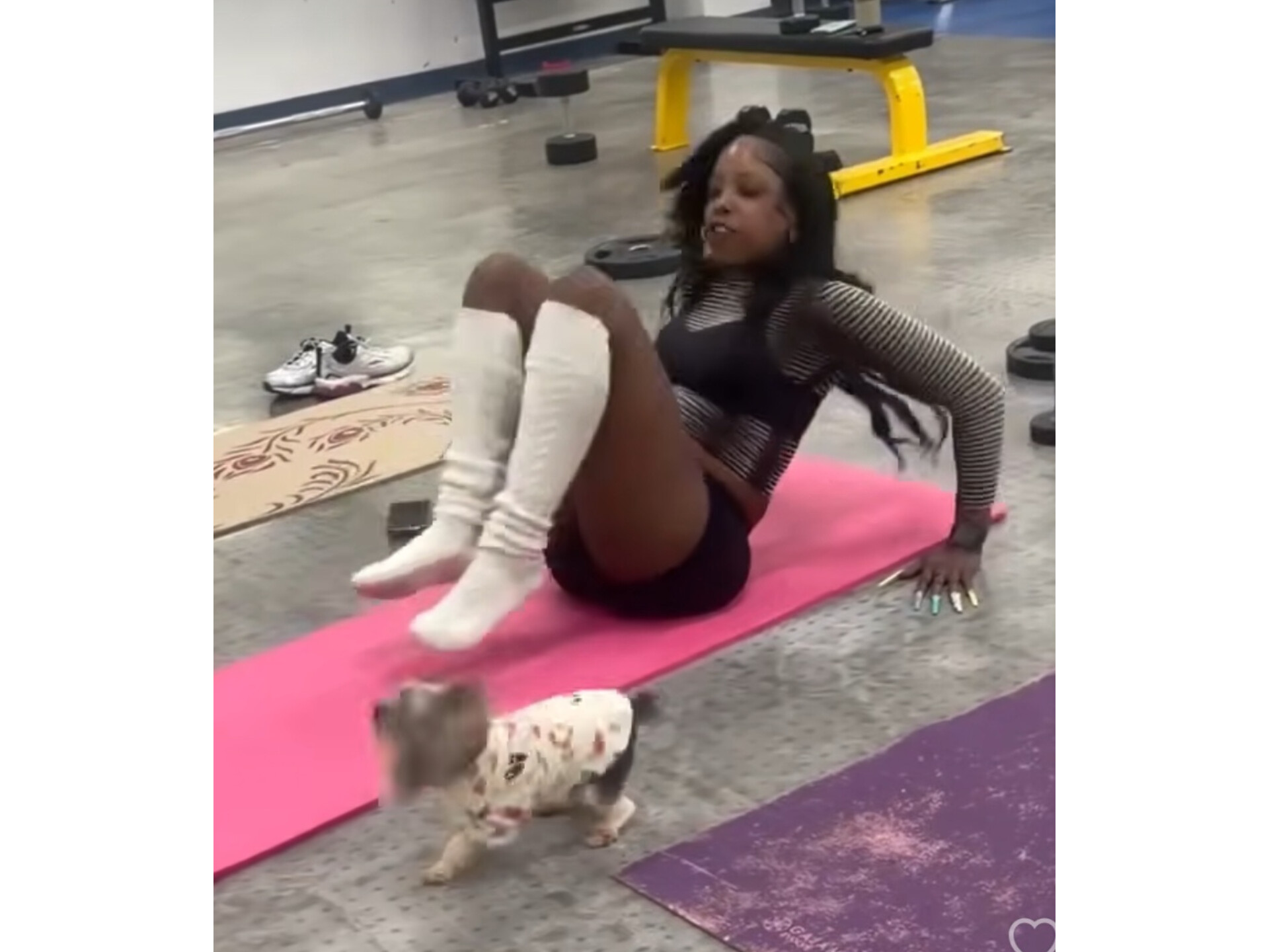 exercise video dog