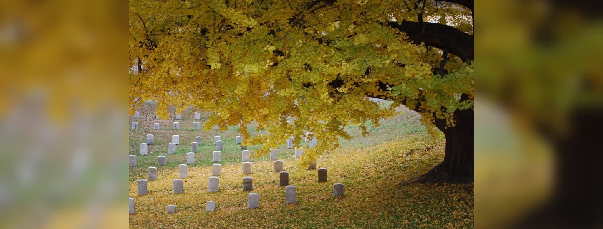 National Cemetery burial recovery findings