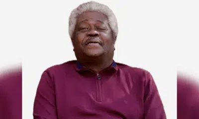 Smiling older man with gray hair wearing a maroon sweater, exuding warmth and contentment. — Roosevelt “Sonny” Jones Jr