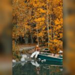 fall