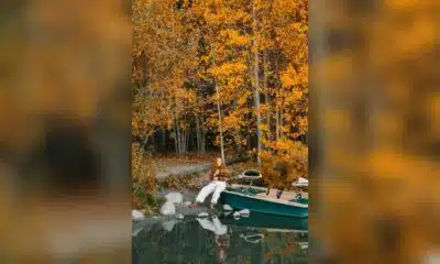 fall