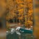 fall