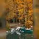 fall