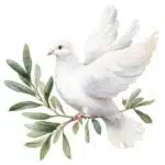 dove — Redditt