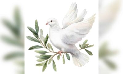 dove — Redditt