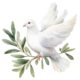 dove — Redditt