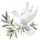 dove — Redditt