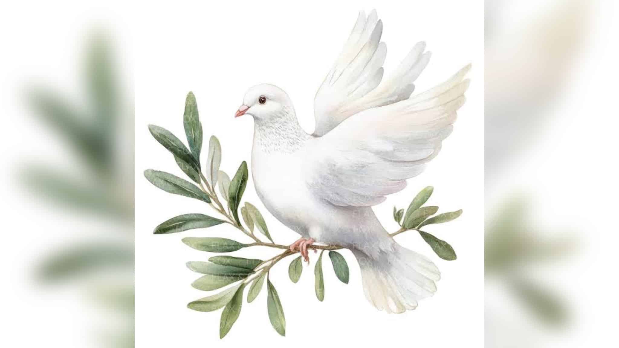 dove — Redditt