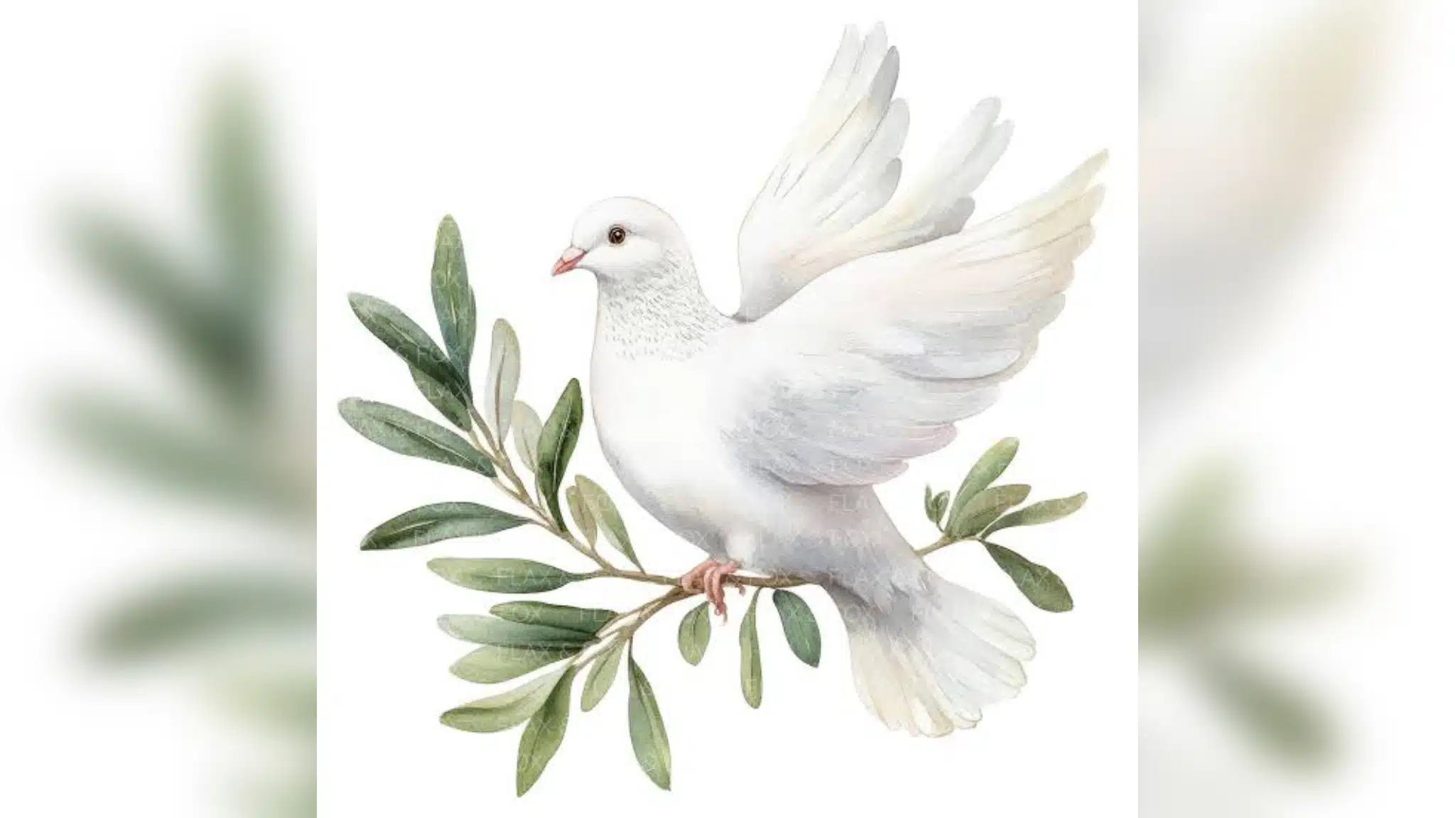 dove — Redditt