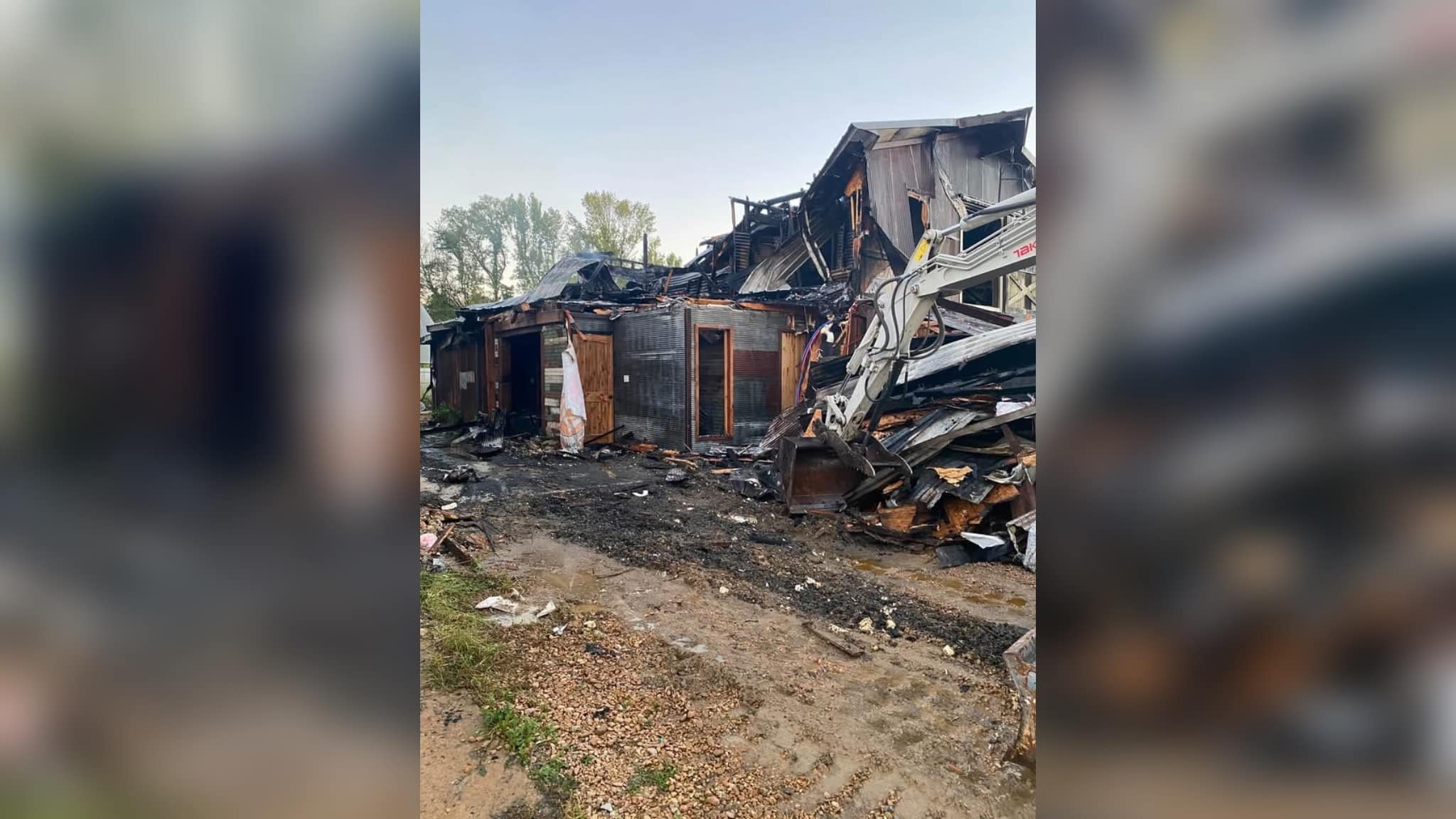 Pet store fire