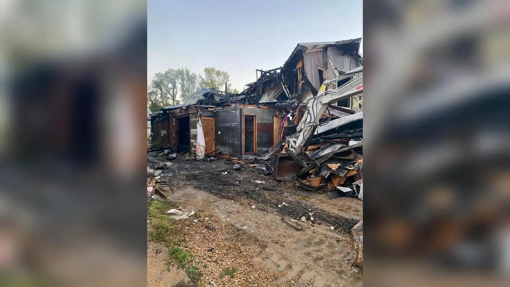 Pet store fire