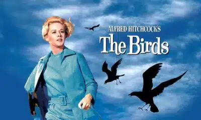 The Birds