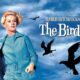 The Birds