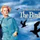 The Birds