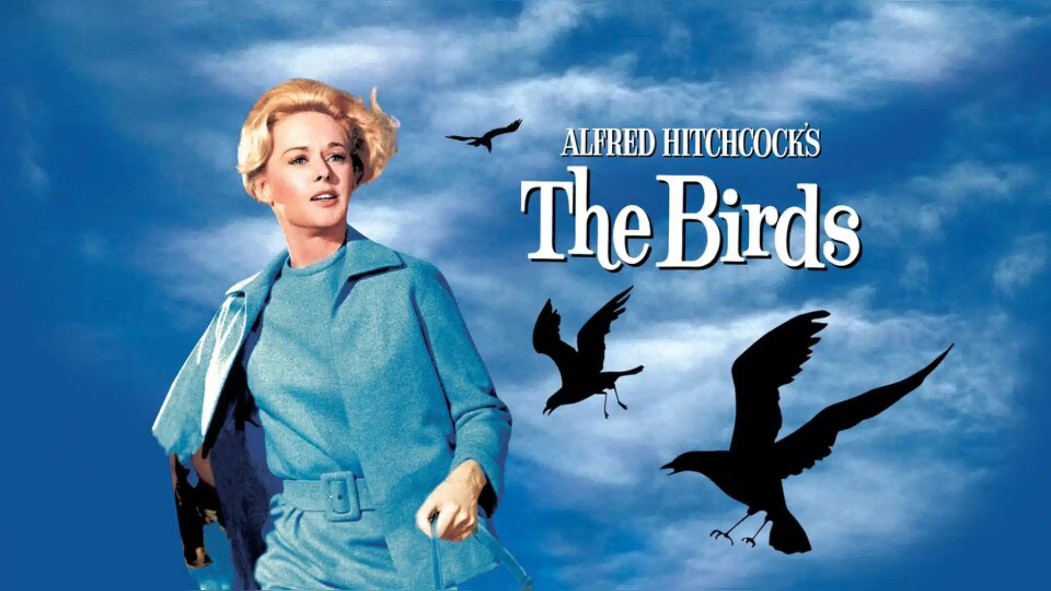 The Birds